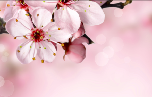 Spring Newsletter 2023: Judging underway, 2023 Marathon on the way
