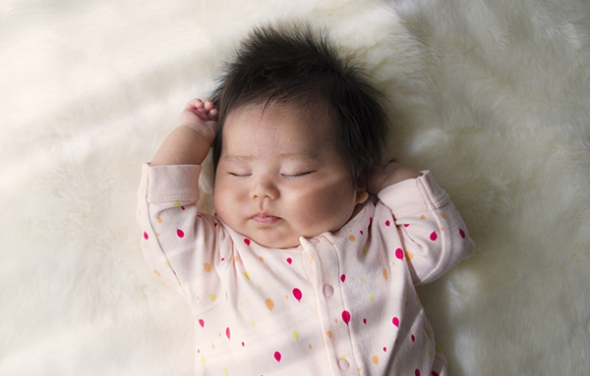 Introducing Iolanthe