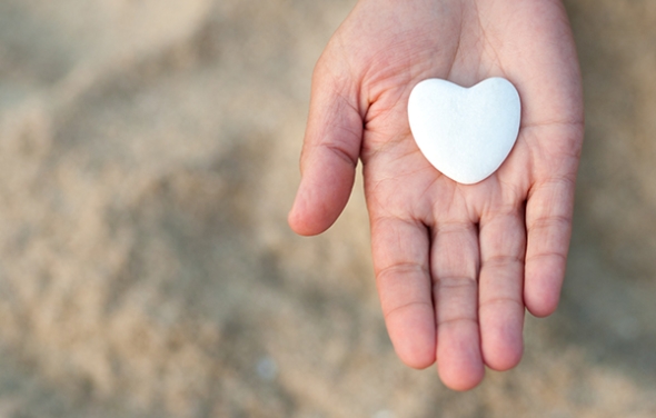 Individual Giving