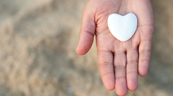 Individual Giving