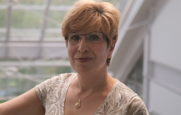 Mo Tabib