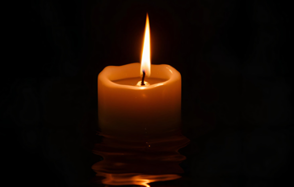 In memoriam: Dr Sally Marchant, Iolanthe Trustee 1999-2004